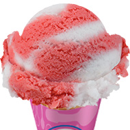 baskin robbins vegan sorbet